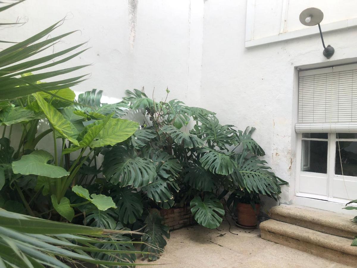 Apartamentos MI CASA VINTAGE Caceres Bagian luar foto